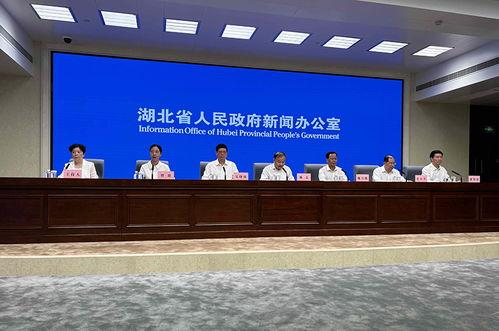 平湖最新爆料案件新闻发布会,新闻发布会揭露案情细节